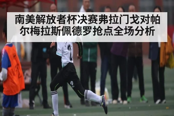 南美解放者杯决赛弗拉门戈对帕尔梅拉斯佩德罗抢点全场分析（AIYOUXI）